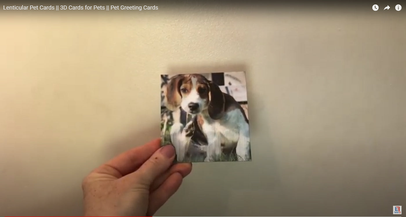 Pet Cards - Dogs