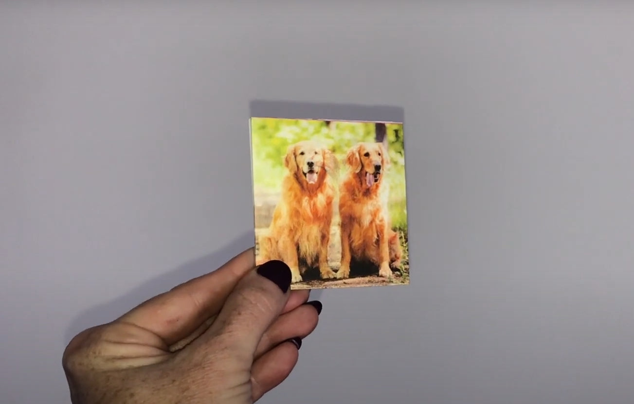 Pet Cards