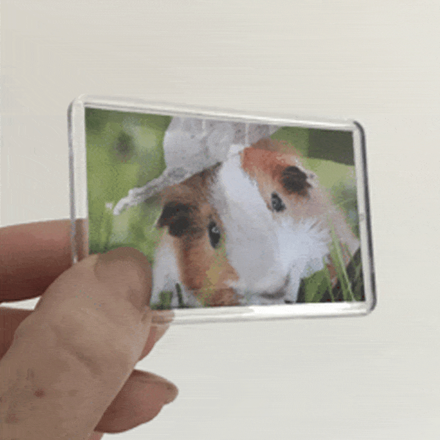 3D Lenticular Fridge Magnet with Stand