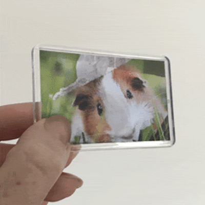 3D Lenticular Fridge Magnet with Stand