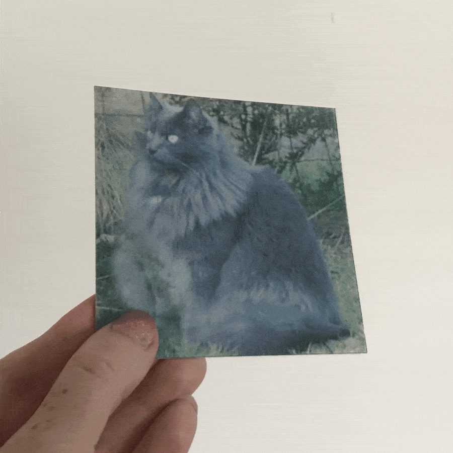 Cards for animal