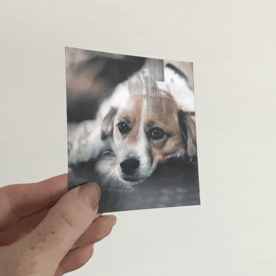 Cards Pets