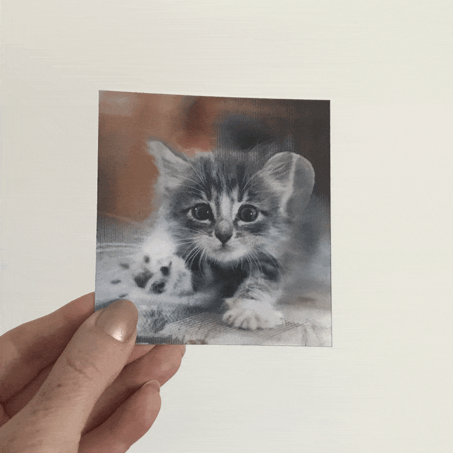 Cards For Pets