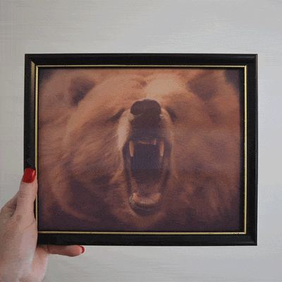 Morphing Photo Gifts