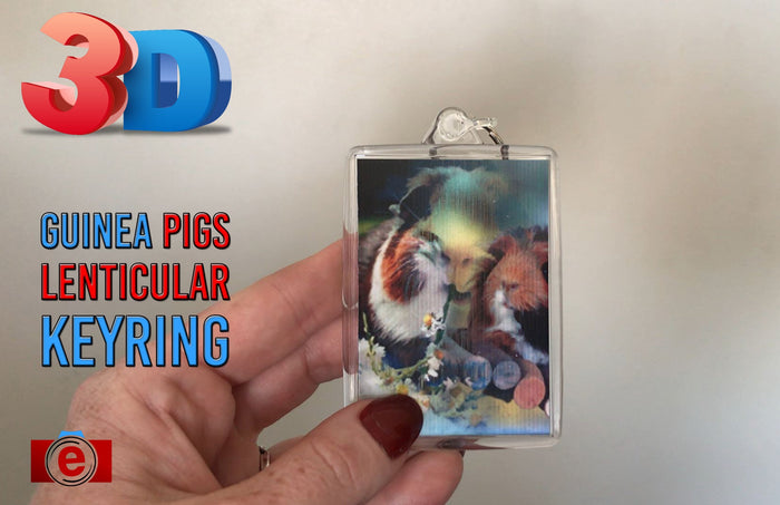 3D Lenticular Keyrings || Personalized Lenticular Keyrings || TwenT3 | TwenT3