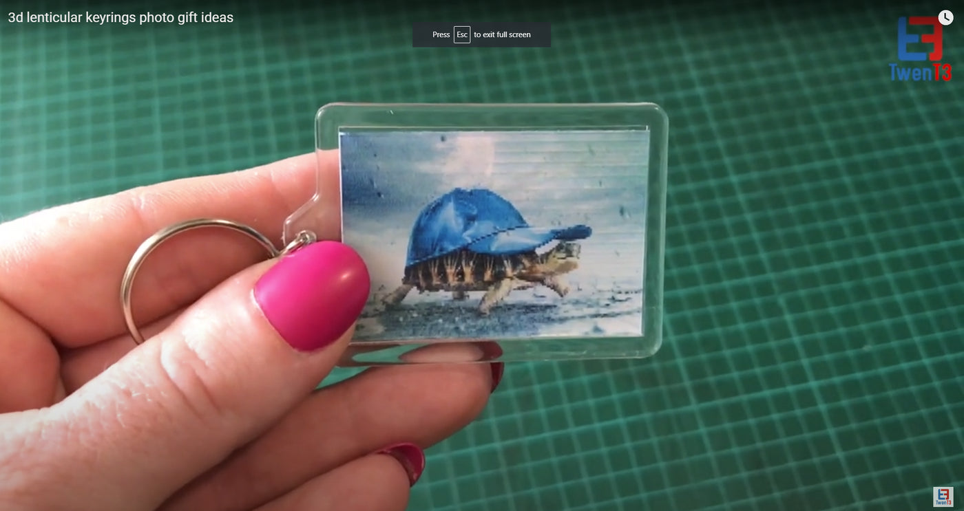 3D Keyrings - Turtle + Seagull