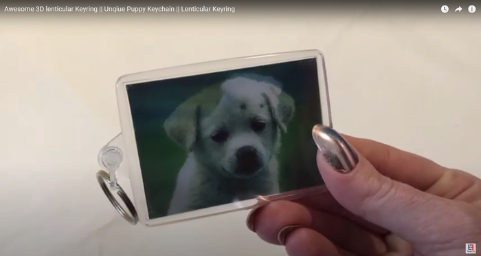 3D Keyrings - Two Young Dogs