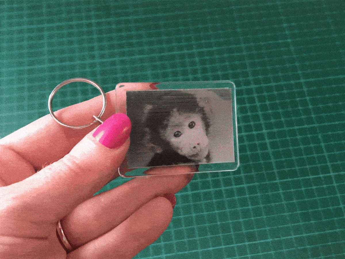 monkey photo printed keychain
