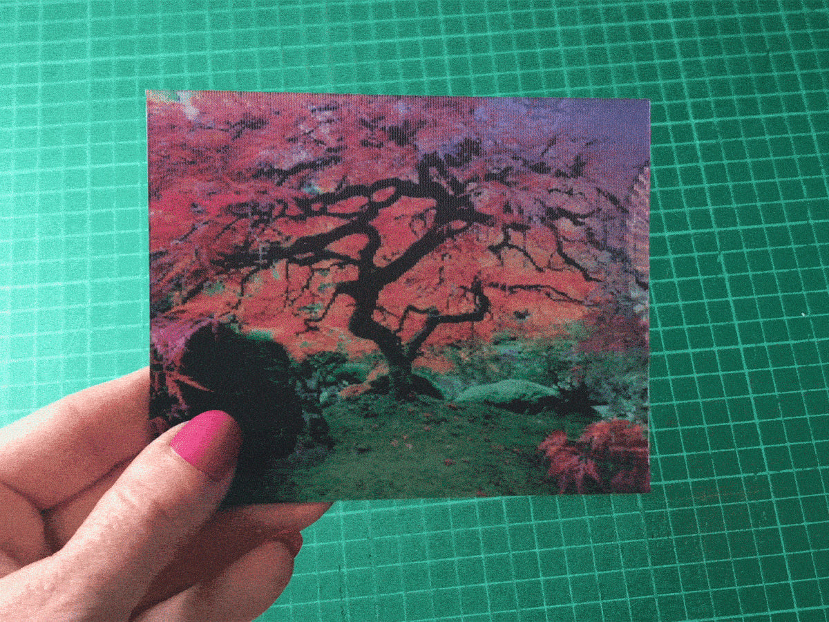 3D hologram postcards