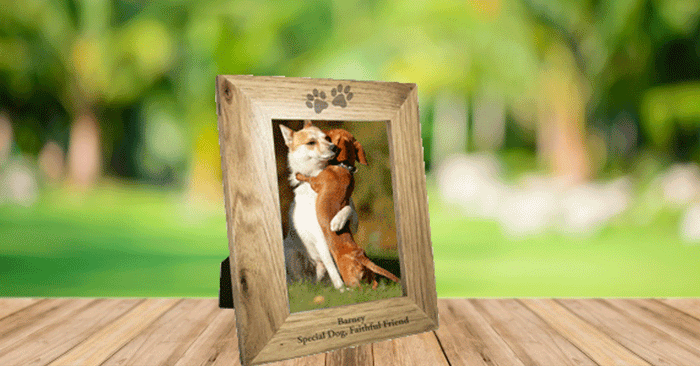 3D-Lenticular-Print-TwenT3 TwenT3