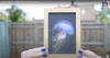 Personalised Photo Gift - Animated Jellyfish