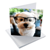 cards for pets