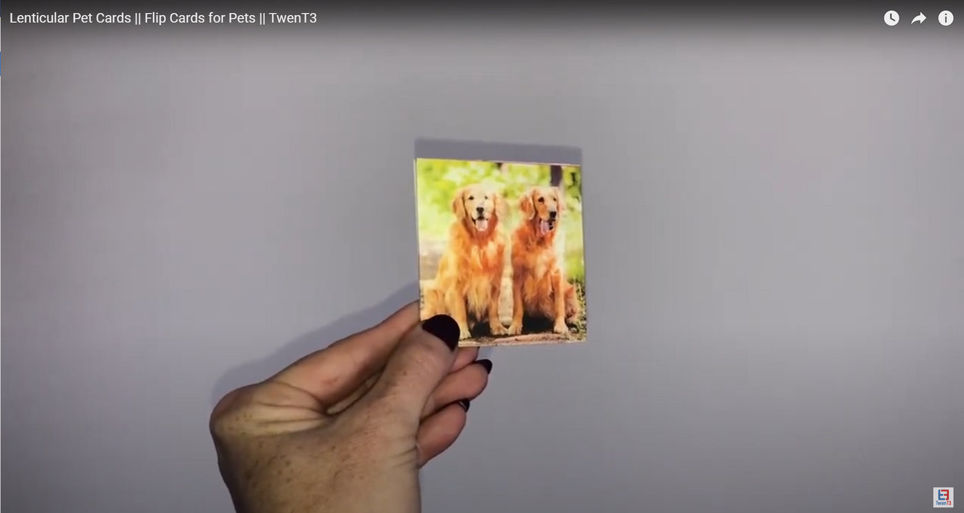 Pet Cards - Dogs