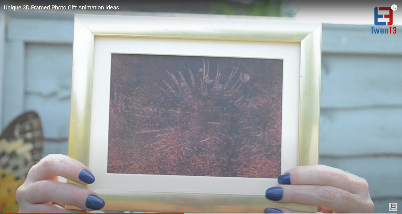 Photo Gift - Firework Display