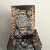 Person holding a lenticular poster featuring luxury watches with a shimmering gold effect.