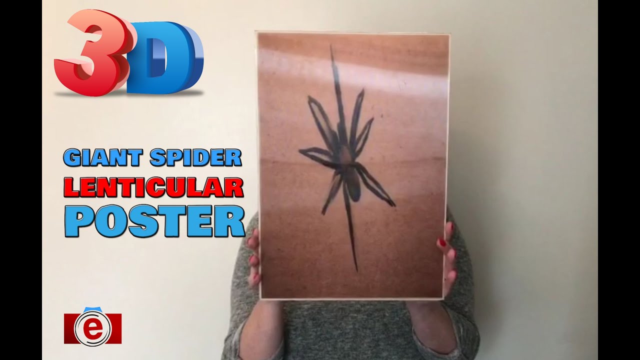 3D Posters That Add Depth, Motion, and Impact to Any Space