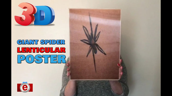 3D Posters That Add Depth, Motion, and Impact to Any Space