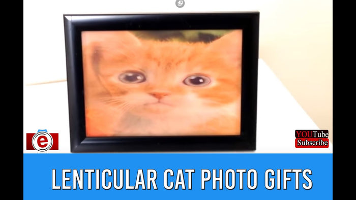 Framed Prints | Print and Frame Photos Online