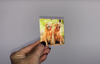 Pet Cards