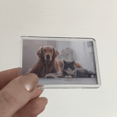 3D Lenticular Fridge Magnet with Stand