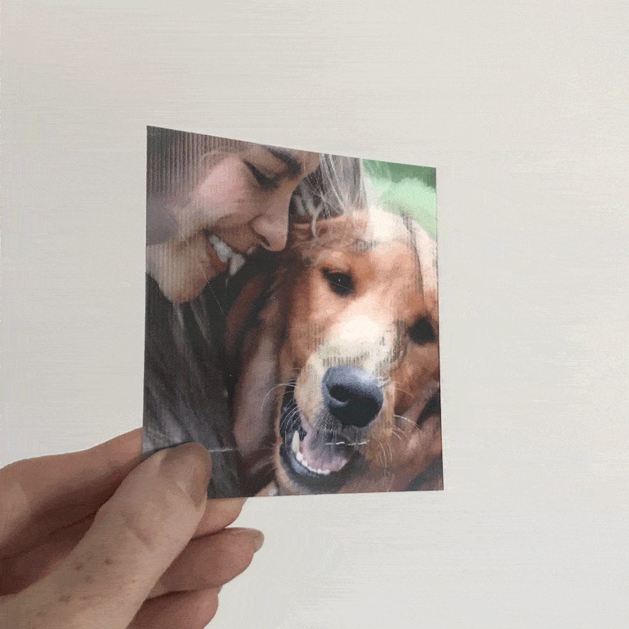 Pets Cards
