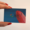 Zoom Business Card